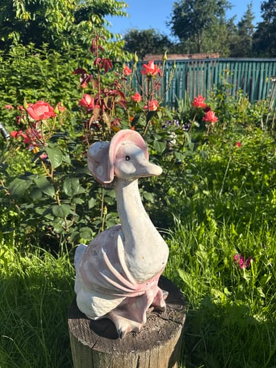 In Luka, Ukraine, a ceramic duck statue, painted with pink accents and wearing a bonnet, sits on a weathered tree stump. The statue is positioned in a garden filled with lush green grass and blooming pink roses. Behind the garden, a green wooden fence and tall trees are visible. The scene is bathed in bright sunlight, indicating a clear, sunny day.