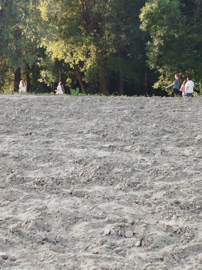 A group of four people are visible in the middle ground, standing on a narrow strip of green vegetation in front of a dense line of trees. The ground in the foreground is a dry, uneven surface of light-colored soil or sand, possibly a recently plowed field or a construction site. The trees in the background are tall and leafy, with sunlight filtering through them, suggesting it is late afternoon.
The people, from left to right, are:
- A person with blonde hair, wearing a white top, seen from the side.
- A person with dark hair, wearing a white top, also seen from the side.
- A person with reddish hair, wearing a dark green t-shirt and dark pants, with their arm extended as if reaching for something.
- A person wearing a white t-shirt and blue jeans, facing towards the left.
The environment appears to be an outdoor, possibly rural or semi-rural setting, given the open, uncultivated ground and the dense tree line. The specific location in Chernihiv, Ukraine, cannot be determined from the visual information in the image alone. The scene is static, with no clear indication of ongoing activity beyond the presence of the individuals. The lighting suggests a warm, sunny day.