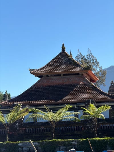 A Balinese temple with tiered roofs is visible against a clear blue sky. The temple features dark, moss-covered roof tiles and ornate architectural details. In the foreground, several fern trees with vibrant green fronds are planted. A low, dark stone wall, also covered in moss, runs along the base of the temple. The overall scene suggests a serene and traditional setting.