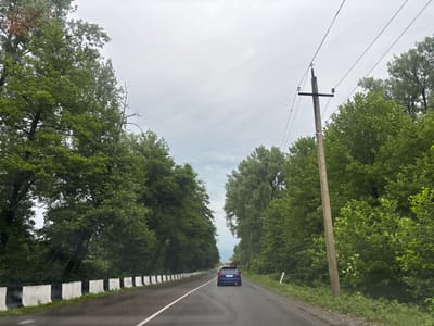 The image captures a view from a moving vehicle on a two-lane road in სუფსის თემი, Georgia. The road is wet, suggesting recent rain, and is flanked by lush green trees on both sides, forming a canopy overhead. A blue hatchback car is visible driving ahead in the right lane. To the right of the road, a concrete utility pole with wires stretches across the frame. A guardrail, painted with alternating black and white stripes, runs along the left side of the road. The sky is overcast with gray clouds.