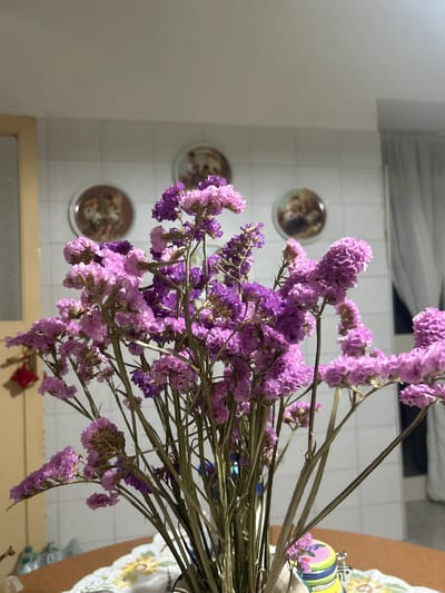 This is a medium-shot, eye-level, indoor photograph of a bouquet of dried lavender-colored flowers in a vase on a wooden table. The flowers are the primary subject, filling the majority of the frame. They appear to be statice, a type of dried flower known for its papery texture. The background is blurred but shows a tiled wall with three decorative plates hanging on it. To the left, a portion of a yellow door or cabinet is visible, and to the right, a grey curtain is present. A portion of a colorful cylindrical container is visible at the bottom right of the frame, partially obscured by the flowers. The lighting suggests an indoor setting, possibly a kitchen or dining room, with overhead lighting casting soft shadows. The overall impression is one of a still life arrangement. There is no indication of the city of Benevento, Italy in the image.