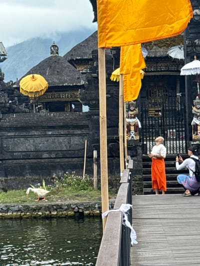 This image captures a scene at a temple complex in Kintamani, Indonesia, with a prominent body of water in the foreground. A wooden walkway extends into the frame from the right, leading towards a stone temple structure with dark, textured walls and tiered roofs. Two orange and yellow decorative umbrellas are visible, one on a rooftop and another hanging from a pole. Colorful flags, primarily orange, flutter from bamboo poles.
In the background, a misty mountain range looms under an overcast sky. On the left side of the frame, a white goose with orange feet walks on a grassy bank bordering the water.
On the wooden walkway, two individuals are present. A person dressed in a white shirt and an orange sarong stands looking upwards, holding what appears to be a small bunch of leaves. To their right, another person kneels, taking a photograph with a smartphone. A backpack is visible on this person's back. The walkway is adorned with white prayer flags tied to the railing. The water is calm, reflecting the surroundings and scattered sunlight.