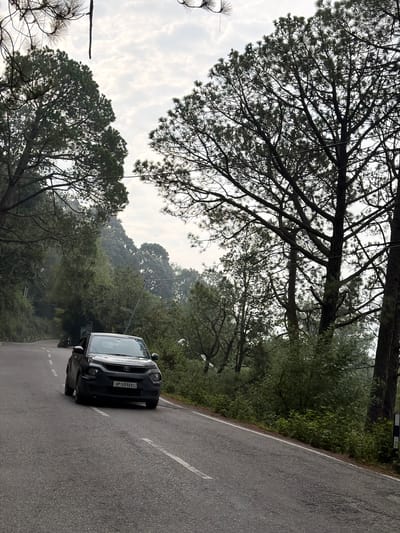 The image depicts a dark-colored car driving on a paved, winding road through a dense forest with tall pine trees. The sky above is overcast with clouds. The car, identified by its license plate "UP16DX6917", is positioned in the foreground, partially obscuring the road. The surrounding environment is lush and green, with foliage lining the sides of the road. The scene appears to be a natural landscape, likely in a hilly or mountainous region given the winding road and the presence of tall trees. This type of scenery is characteristic of many areas in and around Dharamshala, India, known for its pine forests and scenic mountain roads.