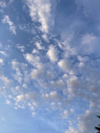 The image captures a vast expanse of blue sky dotted with scattered white and gray clouds. The clouds vary in size and density, with some appearing wispy and thin, while others are more bulbous and defined. The lighting suggests it is daytime, possibly late afternoon or early morning, as the sun is not directly visible but its light illuminates the clouds. In the lower right corner, a dark silhouette of tree branches is visible, indicating the viewpoint is from ground level, looking upwards. There are no people or specific objects in the sky, and no discernible city structures are visible, suggesting the image was taken from an open area outside of the immediate urban environment of Donskoye, Russia. The overall scene is one of a natural skyscape.