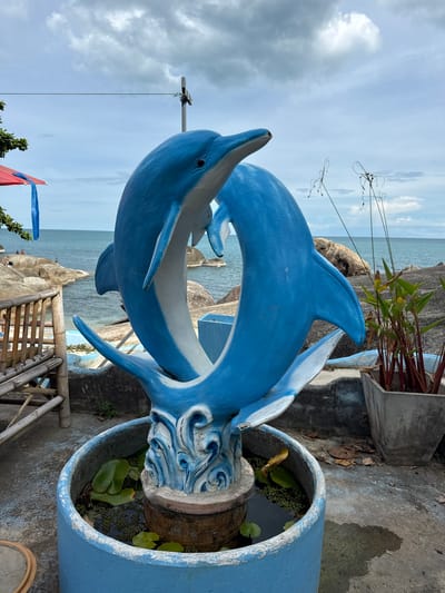 In Baan Hua Thanon, Thailand, a vibrant blue dolphin sculpture is the focal point of this outdoor scene. The sculpture depicts two dolphins gracefully intertwined, their bodies forming a fluid loop. The dolphins are mounted on a decorative base that mimics swirling water, painted in shades of blue and white. This base sits within a round, light blue concrete planter filled with dark water and dotted with lily pads and small green plants.
Behind the sculpture, the turquoise waters of the ocean stretch towards the horizon under a cloudy sky. Rocky outcrops, some with people visible in the distance, line the shore. To the left of the sculpture, a portion of a bamboo bench with a thatched seat is visible, and a red and blue umbrella can be seen further back. To the right, a grey concrete planter holds tall, thin plants with reddish stems and green leaves. The ground surrounding the planter is a weathered concrete surface, showing signs of age and dampness in places. The overall impression is a tropical, slightly rustic setting by the sea.