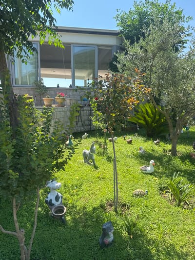 The image depicts a lush, green garden with various decorative elements. The scene is set in a residential garden, likely in Prijevor, Montenegro, as suggested by the context. In the foreground, there's a large tree with dense green foliage, obscuring parts of a modern building with large windows.

Scattered across the well-maintained lawn are several garden ornaments. These include decorative figures of ducks, a turtle, and a cow with black and white patches, possibly serving as a planter. There are also other unidentified statuettes. The garden is shaded by trees, and a palm tree is visible towards the middle ground. Potted plants and flowers can be seen near the building, suggesting a well-tended outdoor space. The building itself has a light-colored facade and large windows that reflect the surrounding greenery and the sky.

The image appears to have been taken during the daytime, likely on a sunny day, given the bright lighting and clear blue sky visible in some areas. There are no people visible in the frame, and the overall mood is peaceful and serene, characteristic of a well-kept garden. No text is visible in the image.
