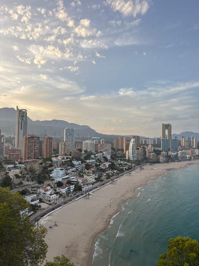 This is an aerial, vertically oriented photograph capturing a coastal city in Benidorm, Spain. The scene depicts a dense urban landscape of numerous tall buildings, including hotels and residential towers, situated along a long, sandy beach. The Mediterranean Sea stretches out to the right, with gentle waves lapping the shore. The beach is dotted with sunbathers and beach umbrellas, suggesting a leisurely atmosphere.

A road or promenade runs parallel to the beach, lined with buildings and trees. The city extends inland, with more buildings nestled against a backdrop of rolling, mountainous terrain. The sky above is a pale blue, with wispy white clouds that suggest it might be late afternoon or early evening, as the light appears soft and diffused.

In the foreground, on the right, the dense green foliage of pine trees frames the scene, adding a natural element to the urban vista. The overall impression is one of a bustling tourist destination, bathed in the warm, gentle light of a day ending. There is no visible text in the image.