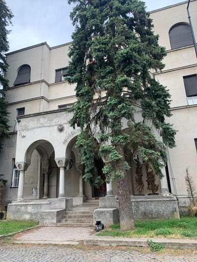 The image depicts a building in Vozdovac Urban Municipality, Serbia. The building is multi-story, with a facade featuring rounded windows and a columned entrance with arches. A large evergreen tree partially obscures the front of the building. A set of stairs leads up to the entrance. To the right of the stairs, on the pavement, is a cat. The pavement is made of cobblestones, and there is a strip of grass along the edge. The sky is overcast.