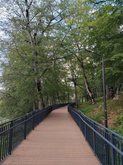 The image depicts a scenic boardwalk curving through a lush forest, likely in Bakuriani, Georgia. The boardwalk is constructed of light-colored wooden planks and is bordered by dark metal railings on both sides. Tall trees with dense green foliage line the path, creating a natural canopy overhead. Sunlight filters through the leaves, dappling the boardwalk and the forest floor, which is covered with grass and fallen leaves. A modern black lamppost stands alongside the boardwalk on the right, displaying the number "3" near its base. The overall atmosphere is tranquil and serene, suggesting a well-maintained recreational area within a mountainous or forested environment characteristic of Bakuriani. No people are visible in the scene.