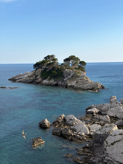 A vertical, eye-level, medium shot captures a picturesque coastal scene in Petrovac centar, Montenegro, with a prominent rocky island topped with pine trees jutting out into the azure Adriatic Sea. The water is clear and a striking turquoise near the shore, gradually deepening to a rich blue further out. Numerous seabirds dot the sky, appearing as small white specks against the pale blue expanse. In the foreground, a swift is captured mid-flight, its wings outstretched as it navigates the water. The island itself is rugged and uneven, with gray rock formations contrasting with the lush green of the trees. The sun casts soft light on the scene, creating a peaceful and serene atmosphere. The rocky shoreline in the immediate foreground is detailed with various sizes of gray boulders.
