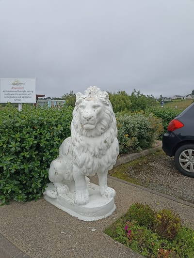 The image depicts an outdoor scene at the Caislean Oir Hotel in Annagry West, Ireland, under an overcast sky. In the foreground, a weathered, white statue of a seated lion is positioned on a concrete base. To the left of the statue is a well-maintained green hedge. Behind the hedge, a white sign with text is visible. Further back, there are more green bushes and trees. To the right of the lion statue, a portion of a dark-colored car is parked on a gravel surface, next to a paved area. The background shows a residential area with houses on a hillside, and more greenery. A small flowerbed with pink and yellow flowers is located in the lower right corner of the image.