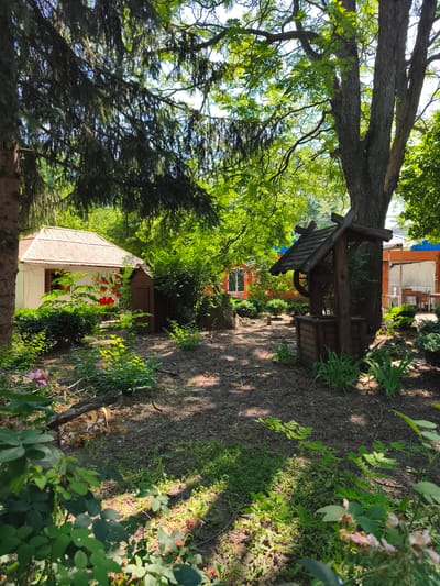 The image depicts a rustic outdoor scene in Kropyvnytskyi, Ukraine, likely a courtyard or garden area. In the foreground, lush green foliage dominates the lower left, with some dried pink rose blooms and a fallen branch on the ground. The mid-ground features a traditional wooden well with a thatched roof and a winch, positioned next to the trunk of a large tree. To the left of the well is a small, rustic wooden shed, and further left, a white building with a thatched roof is visible, adorned with painted red floral motifs. The ground is covered with dark soil and scattered leaf litter. In the background, more greenery and parts of other structures, including a brick building with blue awnings, can be seen. The lighting suggests a bright, sunny day with dappled sunlight filtering through the trees.