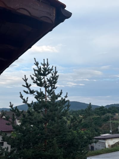 This is a vertically oriented, medium shot of a pine tree in front of a mountainous landscape under a cloudy sky. A dark brown wooden structure, likely a roof overhang or a portion of a building, is visible in the lower left corner of the frame. The pine tree, with its deep green needles, dominates the right side of the image, its branches reaching across the frame.
In the background, rolling hills covered in lush vegetation recede into the distance, disappearing into a hazy, mountainous silhouette. Several houses with red-tiled roofs and other structures are scattered across the hillsides, hinting at a rural or semi-urban setting. Power lines are also visible strung between poles on the slope, indicating the presence of infrastructure.
The sky is a pale blue, streaked with soft, white clouds that suggest a mild, possibly overcast day. The lighting indicates it is likely late afternoon or early morning, with diffused light. No people are visible in the image. The overall mood is serene and natural, with a sense of quietude. The image was taken in Strelcha, Bulgaria. There is no visible text in the media file.