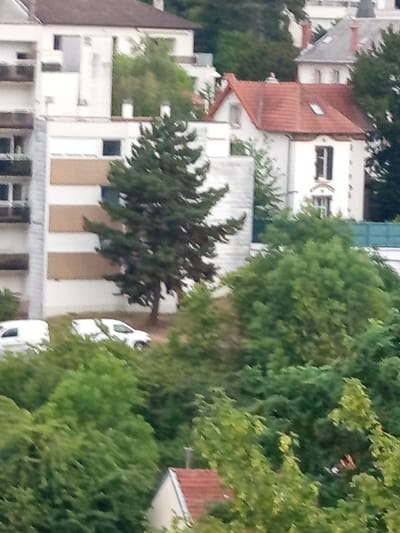 This image captures an outdoor scene featuring a multi-story apartment building with balconies and windows, an adjacent residential building with a red tile roof, and a prominent evergreen tree in the foreground. Two white vans are parked on a paved area between the buildings and the surrounding foliage. The scene appears to be set in a residential area with a mix of urban architecture and abundant greenery. The specific location in Nancy, France, is not identifiable from the visual information presented in the image. There are no people or animals visible in the frame. The lighting suggests it is daytime.