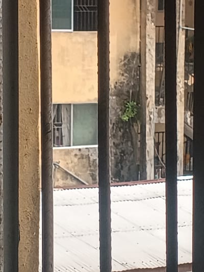 The scene depicts a view through vertical, dark-colored security bars, located in Warri South, Nigeria. In the background, a multi-story building with light yellowish-beige exterior walls features multiple windows; one visible on the upper left has a dark frame, a light pane, and a dark grilled section, while another below it shows a dark pane and a lighter pane with a vertical blind. To the right, another structure displays textured, weathered walls with darker patches and a small cluster of green foliage. Further right, a dark metal balcony railing or staircase is partially visible. The lower portion of the image reveals a light-colored, corrugated metal roof with a reddish-brown trim. No individuals, specific actions, or interactions are observable.