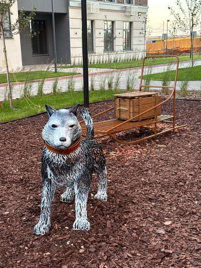In the city of Pervomaysky, Russia, a wire sculpture of a husky dog stands on a ground covered with dark brown mulch. The dog sculpture is gray and white, with a brown collar. Behind the dog, a brown metal sled with a wooden chest on top is positioned on the mulch. The sled has a wooden plank seat. The background features a building with light-colored walls and dark windows, alongside green grass, a pathway, and trees. Beyond that, a wooden fence and construction activity are visible. The lighting suggests it is daytime, possibly late afternoon.