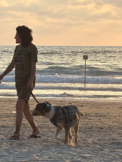 A person with curly, dark hair and a green t-shirt walks a dog on a sandy beach in Bat Yam, Israel, at sunset. The dog is a medium-sized breed with a mottled gray and white coat, wearing a dark harness. The person is holding a red leash, and the dog is walking ahead of them. The ocean is to the left, with gentle waves rolling onto the shore. In the distance, a yellow pole with a sign is visible in the water. The sky is a soft orange and yellow, indicating the setting sun. The overall scene is peaceful and serene.