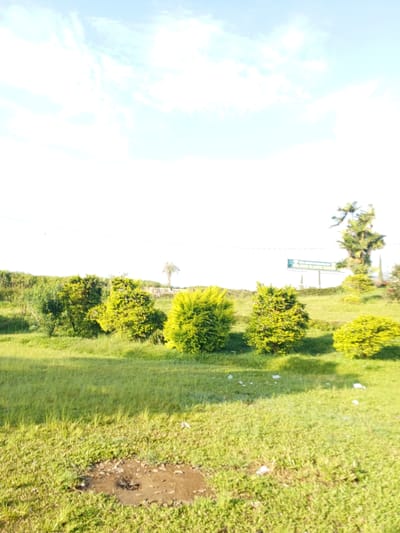 The image depicts a grassy field with several bushes and a few trees in the background, likely located in Thalang, Laos. A patch of bare soil is visible in the foreground. The sky is bright and clear with some clouds. A sign is visible in the midground.