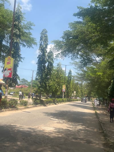 This image, captured in Ijanikin, Nigeria, shows a tree-lined road under a clear, bright blue sky with sparse white clouds. The scene is illuminated by strong sunlight, casting distinct shadows from the trees and objects onto the road and ground, suggesting a midday or early afternoon setting.
The asphalt road, which appears to be a thoroughfare, extends into the distance. It is bordered by dirt shoulders or sidewalks on both sides. Lush, green trees of varying heights and foliage density line both sides of the road, some forming a dense canopy overhead while others are tall and slender. Shrubbery and bushes also grow along the road's edges.
Several people are visible on the right side of the road, some walking and others standing. Their attire includes both casual wear and what appear to be traditional white garments. At least one dark-colored car is partially visible on the road in the middle distance.
A prominent yellow billboard is positioned on the left side of the road, attached to a utility pole. Visible text on the billboard includes "Chupa Chups" and "TOSS.", accompanied by an image of a woman. The overall impression is that of a bustling yet green street in a semi-urban or suburban environment.