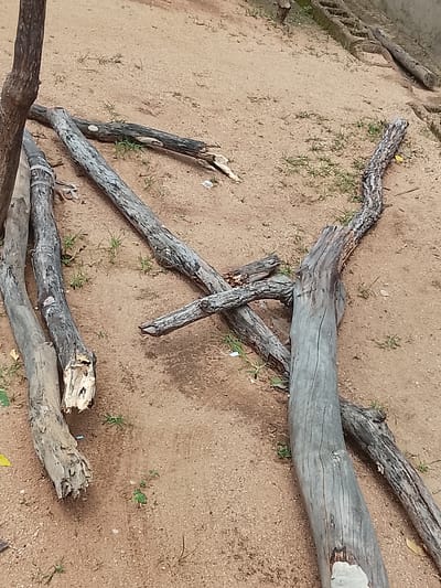 The media file displays a collection of weathered, grey-toned logs scattered across a sandy ground with sparse patches of green grass. The logs vary in thickness and length, some appearing to be broken or weathered with exposed wood. They are arranged in a seemingly haphazard manner, with some overlapping and others lying parallel. The sandy ground suggests an outdoor setting, possibly in a dry or semi-arid environment. The lighting appears to be natural daylight, casting soft shadows, hinting at a time of day that is neither direct midday sun nor dusk. The overall impression is one of natural decay or perhaps a collection of materials gathered for a purpose, such as firewood or construction. There are no people visible in the media file. The scene appears still and quiet, with no discernible activity taking place. The location context provided as Sunkani, Nigeria, aligns with the visual cues of sandy terrain and sparse vegetation.