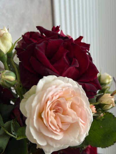 A close-up shows a bouquet of roses, with a light pink rose on the left and a dark red rose on the right. Several buds and green leaves are also visible among the flowers. The background appears to be a set of white blinds. The location is specified as Rossiyskiy, Russia.