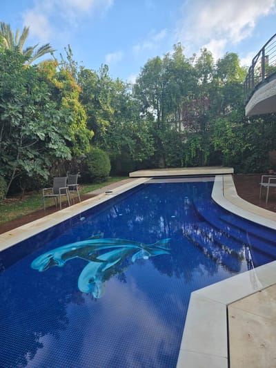 This is a ground-level, wide-angle shot of a rectangular swimming pool with a mosaic of two dolphins at the bottom. The pool is filled with clear blue water and is surrounded by a beige tiled deck. To the left of the pool, there are two dark gray chairs and a wooden deck. Behind the chairs is a lush green garden with various trees and bushes. The background shows more trees and a building with a balcony and railing on the upper right. The sky is blue with scattered white clouds. The scene appears to be a private residence in Kfar Saba, Israel, given the context provided.