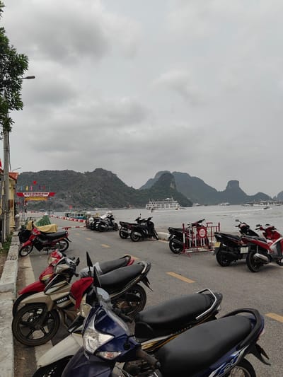 The image depicts a street scene in Hải Phòng, Vietnam, filled with parked motorcycles on a paved road marked with yellow lines. Beyond the motorcycles, there is a body of water with several islands or karst formations visible in the distance. A few large cruise ships are anchored or navigating on the water. The sky is overcast with gray clouds. On the left side of the image, there is a sidewalk with a building and some vegetation. A sign in Vietnamese is visible above the road. No people are distinctly discernible in the image, although some may be obscured by the motorcycles or distant in the scene.