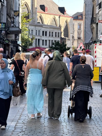 This media file captures a street scene in Brussels, Belgium, likely during daylight hours with sunny weather indicated by the shadows. The image is oriented vertically, suggesting it might have been taken with a phone camera.
The primary subjects are a group of people walking along a cobblestone street lined with traditional European architecture. Several individuals are clearly visible, including a woman in a light blue dress and a man in a dark green jacket and head covering. Others are partially obscured or in the background. A black baby stroller is also a prominent object in the scene, positioned near the woman in the patterned top.
The people appear to be engaged in everyday activities, such as walking or possibly being part of a tour group. There's a sense of movement and casual interaction among them.
Notable details include the distinctive cobblestone paving, the architectural style of the buildings with arched windows and ornate facades, and trees with lush green foliage. A construction barrier with a red and white striped pattern is visible in the background, along with signage that is difficult to read clearly due to resolution and angle. One visible sign appears to have text that could be "ETHL" or similar. Another sign on a market stall has partial text that might read "ZARA" and "Black Fripies". The overall atmosphere seems relaxed and typical of a European city on a pleasant day.