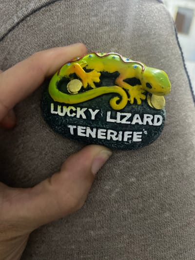 A hand holds a novelty magnet shaped like a bright green and yellow lizard with blue dots and red trim. The lizard is curled around a dark, rocky base with the words "LUCKY LIZARD TENERIFE" written in white block letters. Two gold-colored circles, resembling coins, are attached to the base near the lizard's head and tail. The background is a textured gray fabric. The image does not depict the city of Smolyan, Bulgaria.