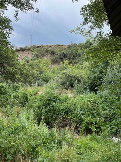 The image depicts a natural, overgrown landscape with a focus on dense vegetation and a partially visible incline. In the upper portion of the frame, a utility pole with power lines stretches across a cloudy sky. The foreground is dominated by various green plants and grasses, creating a thick undergrowth. There is a slight incline on the right side, partially covered by trees and shrubs. In the background, the landscape appears to be a hillside covered with trees and bushes. The overall impression is one of a wild, untamed natural area. The location is identified as Yuryevka, Kyrgyzstan.