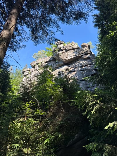 The image shows a dramatic rock formation rising high into a clear blue sky, framed by the dark green branches of coniferous trees. The rock face is angular and weathered, with deep fissures and cracks indicating its age and the forces of nature that have shaped it. Sunlight illuminates parts of the rock, highlighting its texture and creating strong contrasts between light and shadow. Lush green foliage, likely from trees and shrubs, sprouts from ledges and crevices on the rock face, adding a touch of life to the rugged stone.
The perspective is looking upwards from below, giving the impression of a vast and imposing natural landscape. The trees in the foreground are dense, with their needles casting shadows and obscuring the view in some areas, creating a sense of being immersed in a forest. The overall scene suggests a wilderness setting, possibly a national park or a mountainous region, characterized by dramatic geological features and dense vegetation.
The lighting indicates it is daytime, with the sun likely at a high angle, given the bright sky and the way it illuminates the rock. There is no visible text in the image. The scene evokes a sense of awe and the raw power of nature. The location context of Szklarska Poręba, Poland, suggests a mountainous area in southwestern Poland known for its natural beauty, including rock formations and forests.
