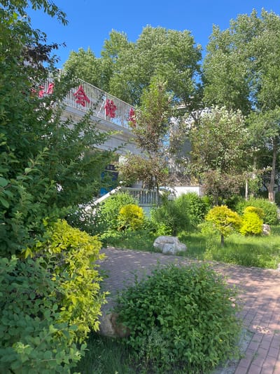 The image depicts a building in Changchun City, China, partially obscured by lush greenery. A two-story white building is visible, adorned with a white metal railing on the upper level and large red Chinese characters. The building is surrounded by trees and various shrubs, some with bright green foliage, and others a lighter yellowish-green. A brick-paved walkway is visible on the right side of the frame, bordered by dense bushes. The sky is clear and blue.