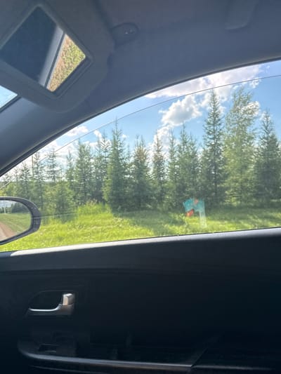 A car's interior is visible, looking out through the side window. The window is slightly open, revealing a bright, sunny day with a clear blue sky and scattered white clouds. A line of coniferous trees forms a dense line across the horizon, with bright green grass in the foreground. A dirt road is visible to the left, and a side mirror shows a reflection of the same landscape. A signpost with colorful markings is situated among the trees in the distance. Inside the car, a gray door handle and part of the car's black interior are visible. The scene appears to be in a rural or wooded area, likely on the outskirts of Verkhneyarkeyevo, Russia.