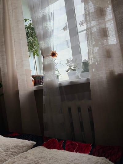 The image depicts an indoor scene, likely a bedroom, with a focus on a window covered by sheer curtains. Several potted plants are visible on the windowsill. The curtains have a textured pattern. To the left, a thicker, opaque curtain is partially drawn. In the foreground, a fluffy white blanket or pillow is prominent, resting on a bed with a patterned red and black comforter. The lighting suggests it is daytime, with light streaming through the window. The specific location in Skopin, Russia, is not visually indicated within the image itself.