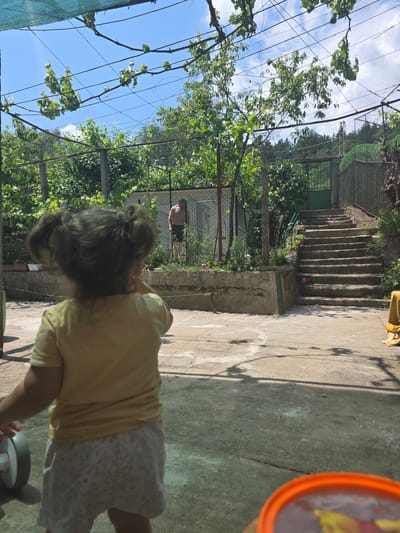 This image depicts an outdoor residential garden scene in Dupnitsa, Bulgaria, viewed on a sunny day. In the foreground, a young child with dark, messy hair styled into two pigtails is seen from behind. The child is wearing a yellow t-shirt and patterned light-colored shorts, with their left hand resting on a gray and white wheel, suggesting a toy or stroller.
The ground is a cracked concrete or paved surface. In the bottom right corner, a portion of an orange plastic lid is visible and out of focus.
The midground features a low, weathered concrete or stone planter wall running horizontally, containing various green plants and small flowering shrubs. Behind this wall, to the left, an adult male is standing shirtless, wearing dark shorts, facing partially away from the camera. He is positioned near a white building and a metal fence, with green foliage behind him. To the right of the planter wall, a set of worn concrete stairs with an attached dark green metal railing ascends toward a higher level. At the top of the stairs, a dark green metal gate opens to a densely wooded area.
Overhead, a trellis system constructed with dark wires supports grapevines with vibrant green leaves, casting shadows on the concrete below. A section of green shade netting is visible in the upper left corner. The background reveals a clear blue sky with scattered white clouds and a horizon dominated by green trees and distant hills, indicating a natural, possibly forested, environment surrounding the property. Bright sunlight illuminates the scene, creating distinct shadows.