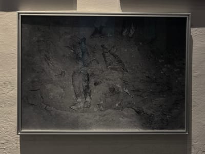 The image displays a framed, black and white photograph mounted on a textured, light-colored wall. The photograph depicts a somber scene within what appears to be an excavation site or a trench, characterized by disturbed earth, soil, and debris.
Within the photograph, the partially exposed remains of at least three human bodies are visible. These figures are recumbent on the ground, with portions of their limbs and torsos discernable through the soil. Their clothing, although soiled and indistinct due to the monochromatic presentation, is visible on segments of their forms.
In the upper section of the photograph, the lower extremities of two living individuals are present. One individual is clad in sturdy, dark boots and trousers, positioned to the left of center. Another individual, to the right, wears lighter footwear and trousers. These living figures appear to be standing over or observing the scene depicted on the ground.
The photograph is encased in a simple, silver-toned metallic frame. The wall behind the frame exhibits a coarse, light-toned texture. A thin, linear light fixture is positioned below the bottom edge of the frame, illuminating the area.
No visual information within the image content, including the photograph itself or its immediate display environment, provides specific details regarding its location in the city of Venice, Italy.