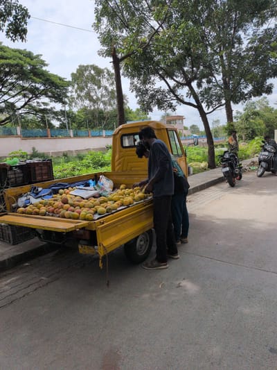 This outdoor daytime scene in Bengaluru, India, depicts a roadside fruit vendor operation. A yellow auto-rickshaw-based mini-truck is centrally parked on the side of a paved road, its open bed filled with a large quantity of ripe yellow and orange fruits, likely mangoes, neatly arranged on a blue cloth. Several crates are visible around and on the truck.

Two men are actively engaged at the back of the truck; one in a dark blue t-shirt and black pants is bending over the fruits, possibly sorting or preparing them, while another man in a patterned shirt is partially visible beside him. Further down the sidewalk, a third man in an orange/brown shirt stands near a black motorcycle, and another person is on a scooter in the background.

The setting includes large, verdant trees lining the street, with some residential or commercial buildings visible in the distance under a bright, overcast sky. The license plate of the yellow mini-truck, "KA 05 N 2594", indicates its registration in Bengaluru (KA for Karnataka, 05 for Bengaluru Urban RTO). The scene captures a typical daily commercial activity on an Indian street.