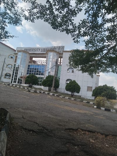 The image displays a modern, multi-story building identified by prominent signage as the "UNIVERSITY LIBRARY," located within what is identified as the city of Osu, Nigeria. The structure features a predominantly white facade with numerous large, reflective glass windows, some with a blue tint, and distinctive curved glass sections at its front. Several spherical, neatly trimmed green bushes are planted along the base of the building. In the foreground, an upward-sloping asphalt road exhibits visible cracks and wear. A curb with alternating black and white markings borders the road, separating it from sparse vegetation. Overhead, dark green tree leaves partially frame the sky, which shows scattered white clouds against a light blue background, indicating daytime. No individuals are present in the scene.
