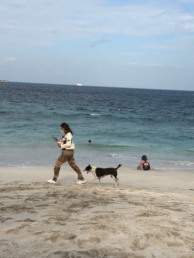 A photograph captures a serene beach scene in Manggis, Indonesia. The image features a calm ocean with gentle waves meeting the sandy shore. The sky is overcast, suggesting a potentially mild or cloudy day.
In the foreground, a woman is walking on the beach, looking down at her phone and holding a small box. She is wearing patterned leggings and a white jacket. Next to her, a black and white dog stands attentively, its tail raised. Further down the beach, near the water's edge, another person is kneeling. In the distance, two ships can be seen on the horizon. The sand is textured with footprints, indicating recent activity on the beach. The overall mood appears peaceful and relaxed.