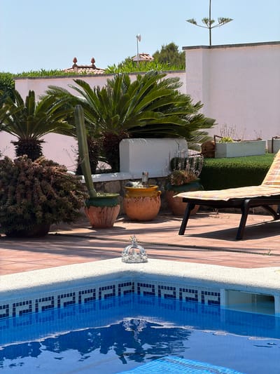 The scene captures a residential area in Mont-roig del Camp, Spain, next to a swimming pool. The pool edge is tiled in blue and white mosaics. Adjoining the pool area, the tiled patio features various potted plants including palm trees, succulents, and cacti. Additionally, there's outdoor furniture present, including a chair with a striped cushion. Beyond the patio, a white wall is visible, along with greenery and additional trees. The sky is clear and blue, indicating a sunny day.