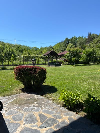 The image depicts a tranquil outdoor scene in Novi han, Bulgaria, characterized by a well-maintained garden on a sunny day. A vibrant green lawn, dotted with small white flowers, occupies the foreground and extends into the background. To the left, a stone pathway leads towards the lawn, flanked by a manicured bush with deep red foliage and a traditional lamp post.

In the middle ground, a fence delineates a section of the garden, with grapevines stretching across it. Beyond the fence, a rustic wooden gazebo with a brown roof stands centrally, offering a shaded retreat. Adjacent to the gazebo, there appears to be a well or pond, surrounded by greenery. Further in the background, lush trees and vegetation create a verdant backdrop against a clear blue sky. The overall impression is one of peaceful rural living, with an emphasis on natural beauty and an inviting outdoor space.