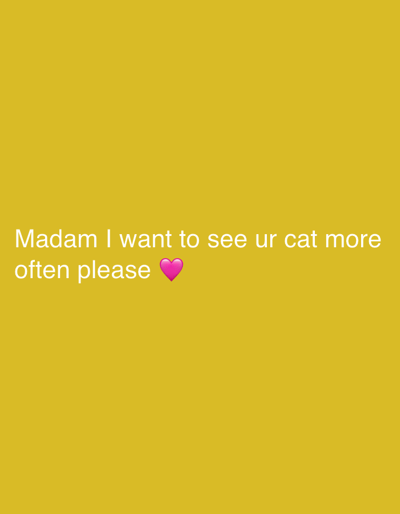 The image consists of white text on a mustard yellow background. The text reads "Madam I want to see ur cat more often please ❤️". A pink heart emoji follows the word "please". There is no information in the image to suggest any location, including the city of Beverwijk, Netherlands.