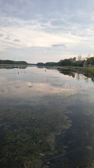 This media file depicts a tranquil, natural scene of a body of water, likely a river or a lake, reflecting a cloudy sky. The image is oriented vertically, suggesting it might be a panorama or a captured moment from a unique perspective.

The foreground is dominated by the water's surface, which is partially covered with aquatic vegetation. Scattered white objects, possibly feathers, are visible floating on the water and among the plants. A dark, narrow object, potentially a thin boat or a piece of debris, is partially submerged near the center left of the frame. Further back, a small blue boat with white accents is also visible.

Along the left bank of the water, a line of trees creates a natural boundary, with a small, man-made structure, possibly a boathouse or a dock, situated near the water's edge. The sky above is filled with soft, grey clouds, hinting at an overcast or partly cloudy day. The overall impression is one of peacefulness and natural beauty, possibly captured during the late afternoon or early evening, given the gentle light.

The location context provided is Rennertshofen, Germany, which helps to place the scene in a specific geographical area. No text is visible in the image. The activity taking place is static; it is a still image capturing a moment in time, rather than an event in progress. The emotional tone is serene and contemplative.