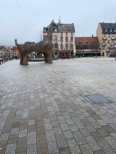 An elevated, wide-angle shot captures a deserted public square in Saverne, France, under an overcast sky. The foreground and midground consist of a vast expanse of wet, patterned paving made from rectangular granite blocks in shades of grey and brown. Two rectangular metal manhole covers are visible embedded in the pavement in the mid-right.

Dominating the midground is a large, hollow, abstract sculpture of an animal resembling a giraffe or horse, constructed entirely from interwoven natural branches and twigs. The sculpture stands on four leg-like supports, forming an archway beneath its body. Its head is elongated and angled upwards to the right, with a raised tail on the left. Behind the sculpture's legs, a circular, low-profile fountain or water feature is partially visible.

In the background, a streetscape of multi-story European-style buildings lines the square. From left to right: a residential or commercial building with a dark roof and lighter facade, followed by a prominent pale pink building featuring multiple white-framed windows across its three visible stories and a dark roof with various antennas. The ground floor of this building includes a commercial establishment with outdoor seating. To the immediate right of the pink building, a structure with a reddish-brown tiled roof is visible, followed by another light-colored multi-story building. Bare deciduous trees are interspersed among the buildings. Utility lines, including a dark cable, traverse the upper left of the frame. Several dark bollards are present along the left edge of the square. No individuals or active vehicles are present in the scene.