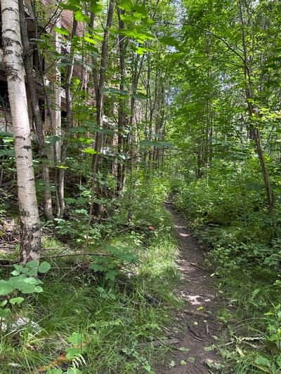 The image depicts a narrow, dirt hiking trail winding through a dense forest. Overgrown vegetation, including tall grasses and leafy plants, crowds the edges of the path. Sunlight filters through the thick canopy of trees, creating dappled light and shadows on the trail and surrounding foliage. In the background, partially obscured by trees, is a weathered brick building, suggesting an abandoned structure. The overall scene conveys a sense of natural overgrowth and abandonment, likely in a rural or semi-rural area. The presence of the building and forest suggests a location with a history of human activity that has since been reclaimed by nature. This scene is located in the city of Interkompleks, Russia.