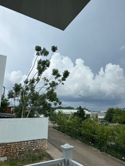 The image depicts an outdoor scene in Lam Vien - Da Lat, Vietnam. The main subjects are a large, leafy tree with thin branches, a grey building corner in the foreground, a paved road, and lush green foliage. The sky is filled with dramatic, white cumulus clouds against a pale blue backdrop, with a darker, more ominous cloud formation in the distance suggesting approaching weather.
The setting appears to be a residential or commercial area, with glimpses of buildings and a street lined with trees and streetlights. The ground is a mix of paved surfaces and a retaining wall made of stone. There is a white fence or railing visible on the right side of the image.
The image was likely taken during the daytime, possibly late afternoon or evening, given the dramatic lighting on the clouds. The weather appears to be changing, with the contrast between the bright white clouds and the darker storm clouds indicating potential rain or a storm.
There is no discernible text in the image. The overall mood is somewhat dramatic and serene, with the vastness of the sky and clouds contrasting with the man-made structures and natural vegetation. The image is taken from a slightly elevated perspective, looking upwards and across the landscape.