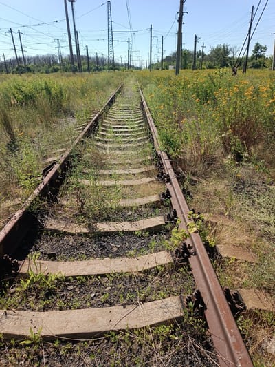 The image shows an abandoned railway track in Vuhlehirsk, Ukraine. The tracks are overgrown with weeds and wildflowers. In the background, there are power lines and trees. The sky is clear and blue. The scene suggests a disused industrial area.