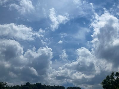 The image depicts a partially cloudy sky over a dense, dark green forest in Berkovitsa, Bulgaria. The sky is a vibrant blue, with white cumulus clouds scattered throughout, some appearing large and voluminous while others are wispy and thin. Sunlight filters through the clouds, creating a dynamic interplay of light and shadow. The forest below is a solid mass of trees, with the tops of some foliage visible at the very bottom of the frame. No people or man-made structures are discernible in the image.