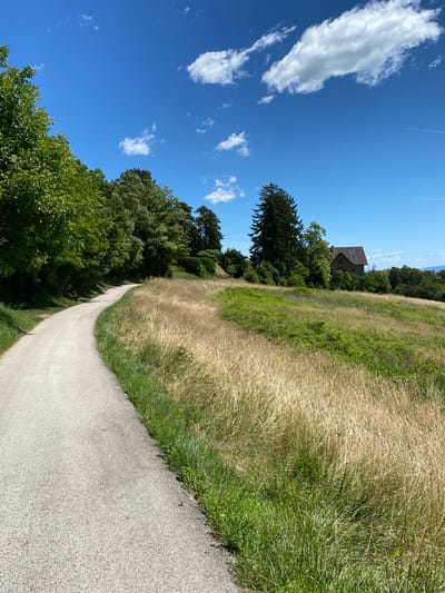 The image depicts a paved pathway curving through a landscape in Boudry, Switzerland. The pathway, made of light-colored asphalt, is bordered on the left by a dense row of lush green trees and on the right by tall, dry grass. Beyond the dry grass, a grassy field with scattered green bushes slopes upwards towards a building with a brown roof nestled amongst trees. A tall, dark green coniferous tree stands prominently beside the building. The sky above is a vibrant blue with scattered white clouds, and a faint contrail is visible in the upper right portion of the frame. The scene appears to be a peaceful outdoor setting, possibly a park or hiking trail, on a sunny day.
