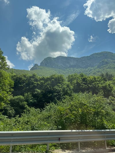 This is a landscape photograph taken from a road overlooking a dense forest and a mountain range. A metallic guardrail runs along the bottom of the frame, separating the road from the vegetation below. The forest is lush and green, with trees of varying heights and textures filling the mid-ground. In the background, a rugged mountain with rocky outcrops rises above the trees. The sky is blue with scattered white clouds. The image appears to be taken in Vratsa, Bulgaria, given the characteristic karst landscape and the presence of a cable car track on the mountain, which is a known feature of Vratsa.